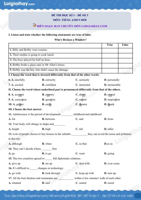 Đề số 3 - Đề kiểm tra học kì 1 - Tiếng Anh 9 mới